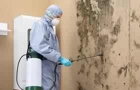 Best Dehumidification Services  in Charleston, MO